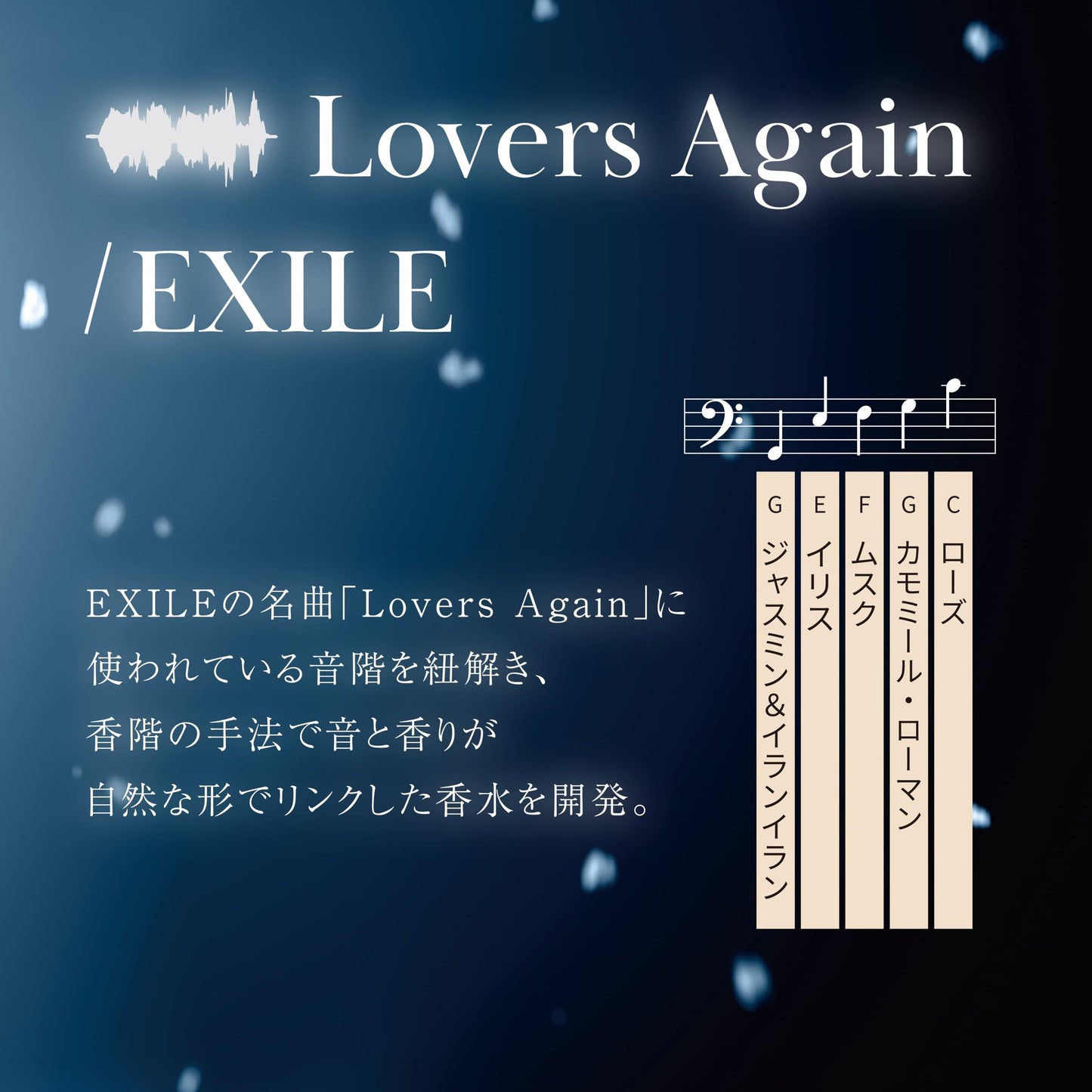 bgm(ビージーエム) オードパルファム No.371×3 L 50ml EXILE TAKAHIRO コラボ フレグランス 香水 女性 男性 レディース メンズ フレグランス