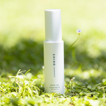 SHIRO ホワイトティー オードパルファン 40mL 香水