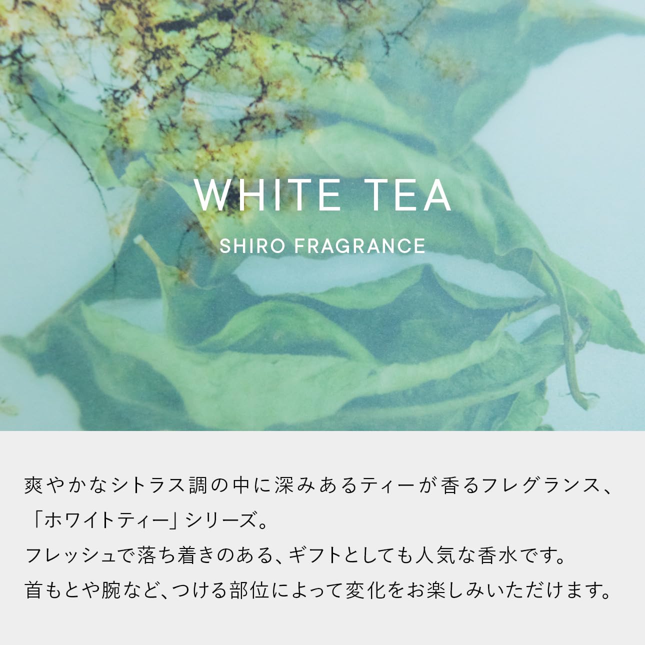 SHIRO ホワイトティー オードパルファン 40mL 香水