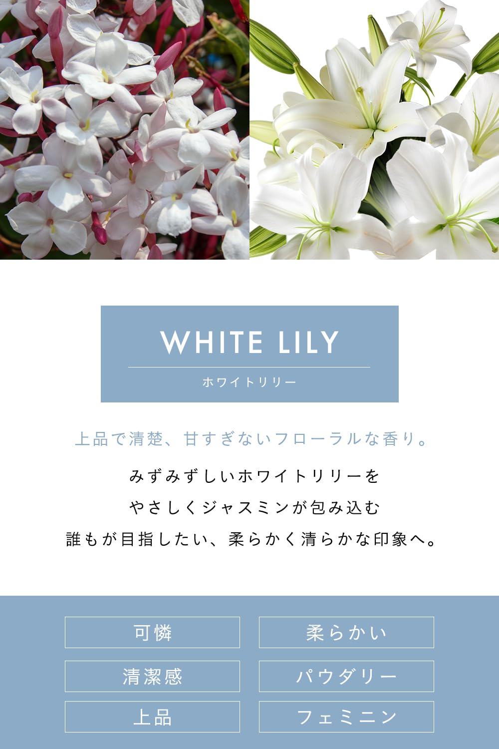【上品なホワイトリリーの香り】thany. 香水 ホワイトリリー 50ml パルファム ベルガモット ジャスミン ムスク メンズ レディース ユニセックス ギフト 持ち運び