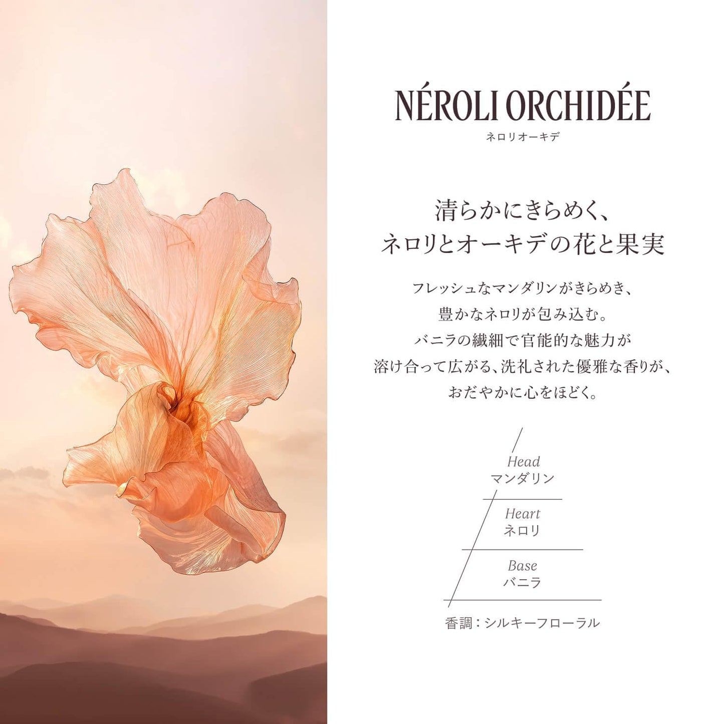 ロクシタン(L'OCCITANE) ネロリオーキデ オードトワレ 50mL 香水 フレグランス