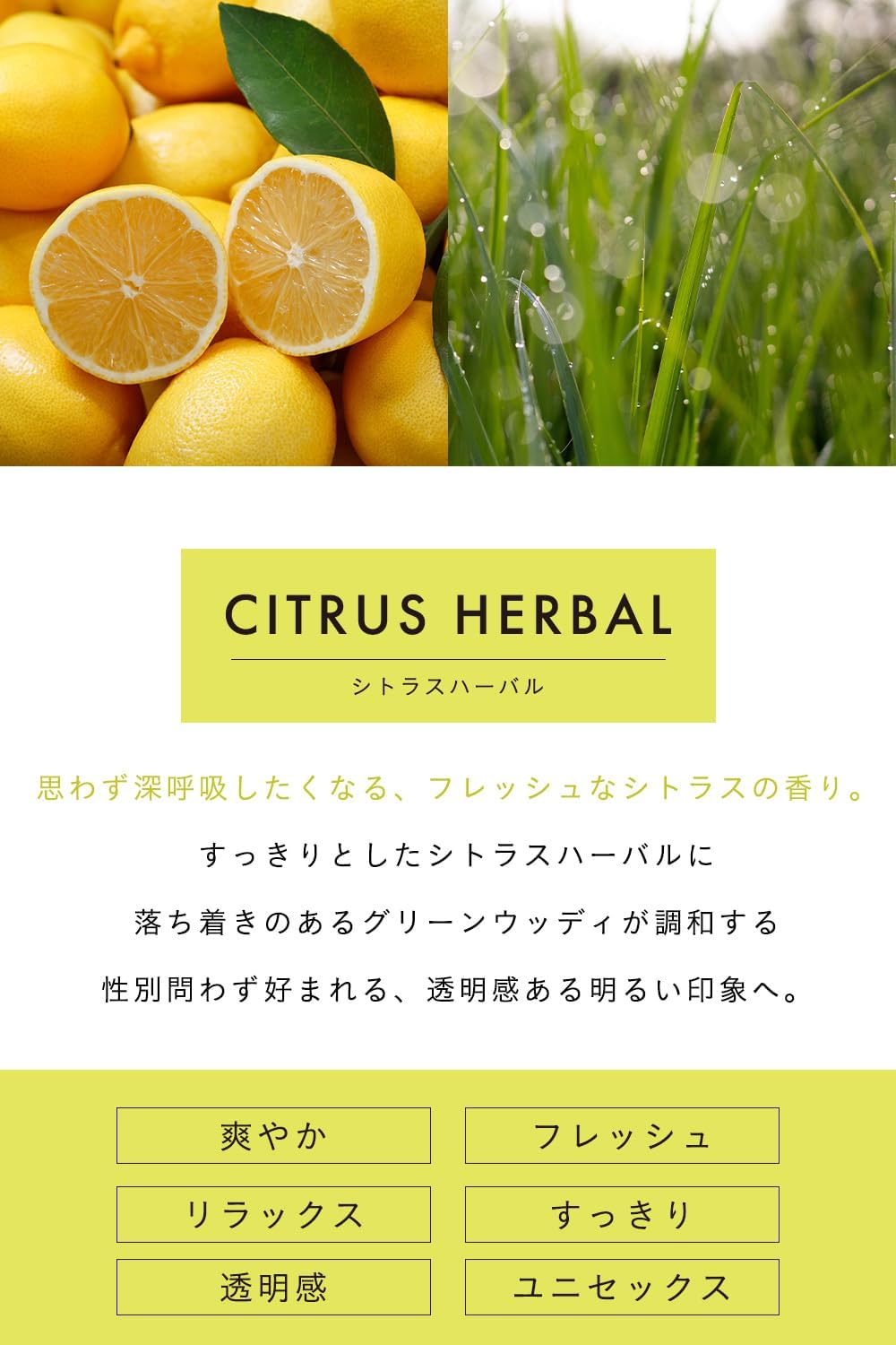 【透明感あふれるシトラスハーバルの香り】thany. 香水 シトラスハーバル 50ml パルファム シトラス レモン グレープフルーツ ティーツリー タンジェリン メンズ レディース ユニセックス ギフト 持ち運び