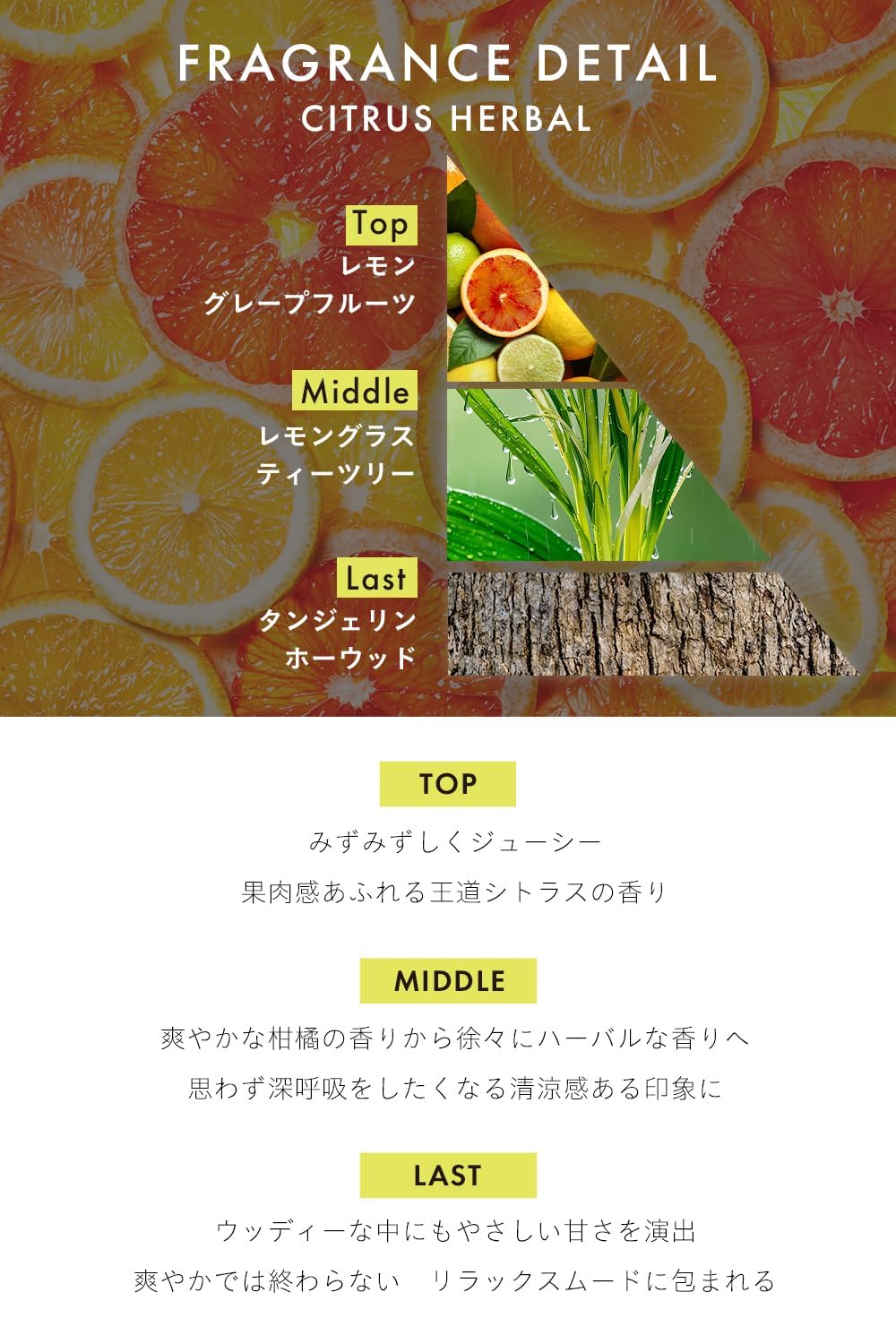 【透明感あふれるシトラスハーバルの香り】thany. 香水 シトラスハーバル 50ml パルファム シトラス レモン グレープフルーツ ティーツリー タンジェリン メンズ レディース ユニセックス ギフト 持ち運び