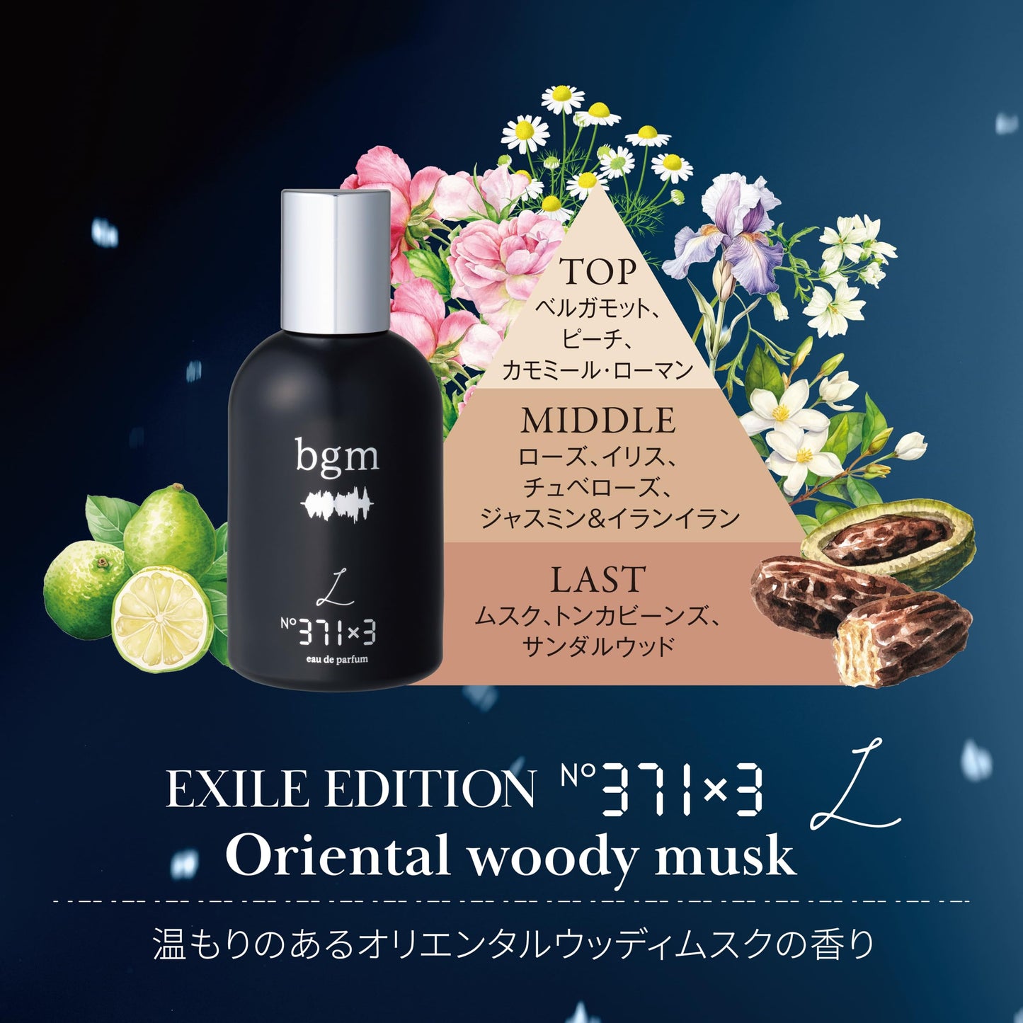 bgm(ビージーエム) オードパルファム No.371×3 L 50ml EXILE TAKAHIRO コラボ フレグランス 香水 女性 男性 レディース メンズ フレグランス