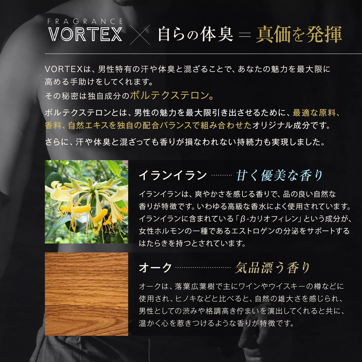 【香りのオーラ】VORTEX ボルテックス 男性用フェロモン香水 メンズ ボルテクステロン配合 フレグランスミスト100ml (イランイラン/オークの香り)